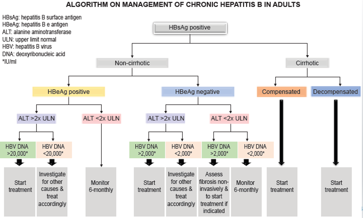 Hep B in Adults